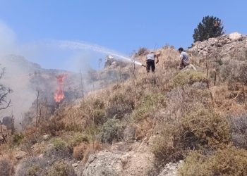 Taşkent ile Güngör arasındaki yangın kontrol altına alındı
