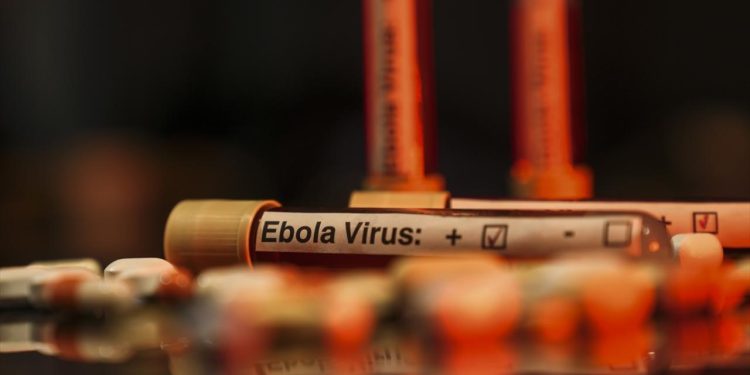 BM: KDC'de etkili olan Ebola salgını 1 milyon kişiyi daha yoksulluğa itecek