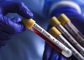Fransa'da Ebola vakası görüldü