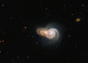 Hubble'en 1000 kat daha hızlı: Kozmosun sırlarını çözecek NASA teleskobu fırlatılıyor