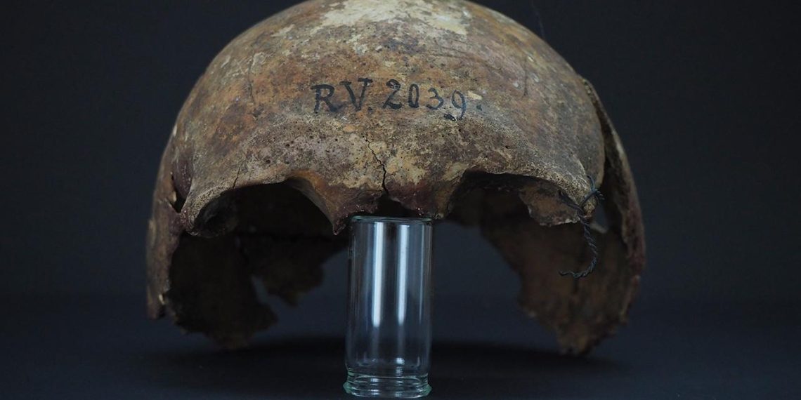 Veba bakterisinin 5 bin 500 yıl önce de ölümcül olduğu ortaya çıktı