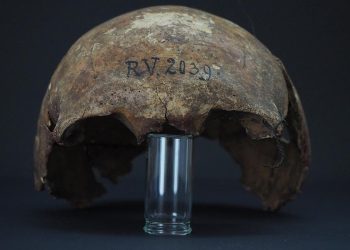 Veba bakterisinin 5 bin 500 yıl önce de ölümcül olduğu ortaya çıktı