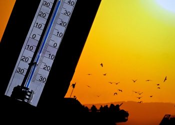 Almanya'da 40 dereceyi aşması beklenen sıcaklıklar nedeniyle bazı bölgeler için uyarı yayımlandı