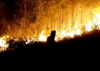 Fransa'da 48 vilayette orman yangını riski nedeniyle turuncu alarm verildi