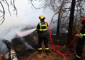 Fransa'nın yangınlarla mücadelesi sürüyor