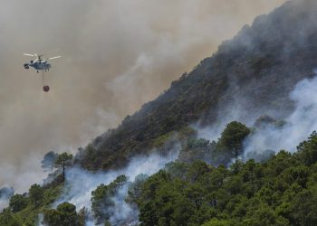 İspanya, başkent Madrid çevresindeki orman yangınları nedeniyle acil durum ilan etti
