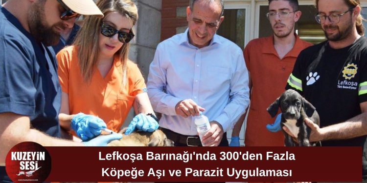 Lefkoşa Barınağı’ndaki 300’den Fazla Köpeğin Aşı ve Parazit Uygulamaları Tamamlandı