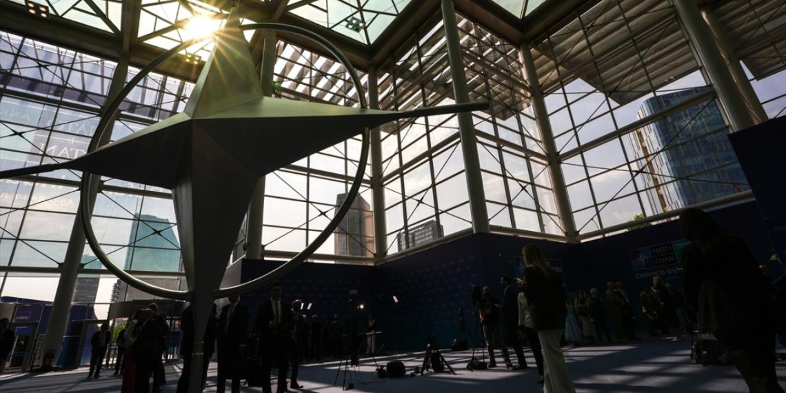 NATO Ankara Zirvesi bünyesindeki panelde Ukrayna ve Avrupa'nın geleceği ele alındı