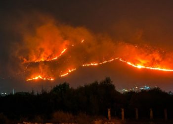 İtalya'nın Sicilya Adası orman yangınlarıyla mücadele ediyor