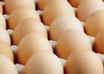 ABD'de milyonlarca yumurta salmonella şüphesiyle geri çağırıldı