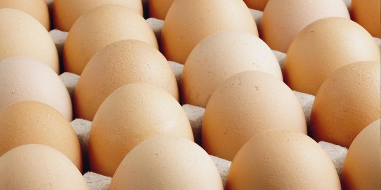 ABD'de milyonlarca yumurta salmonella şüphesiyle geri çağırıldı