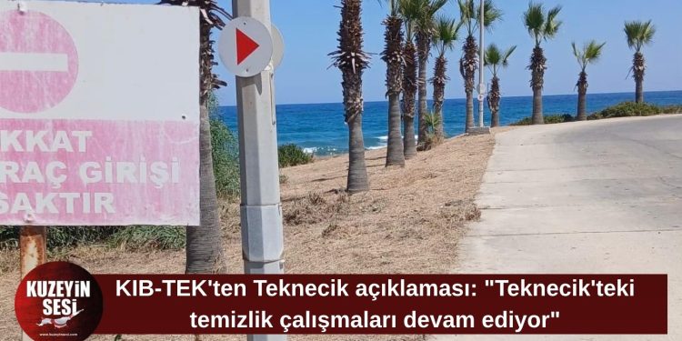 KIB-TEK: Teknecik’te ot temizliği çalışmaları aralıksız sürüyor