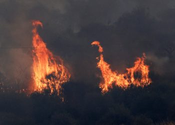 Sicilya Adası'ndaki orman yangınları yerleşim yerlerini tehdit ediyor