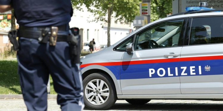 Mısır kraliyetine ait elmas kolye Viyana'daki müzeden çalındı