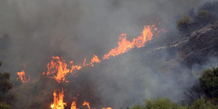 Cezayir'in doğusunda çıkan orman yangınlarında 12 kişi hayatını kaybetti