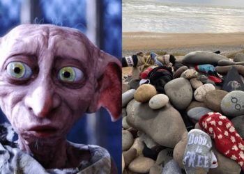 Her şey Dobby için: Harry Potter hayranları 580 milyon dolarlık projenin güzergahını değiştirdi