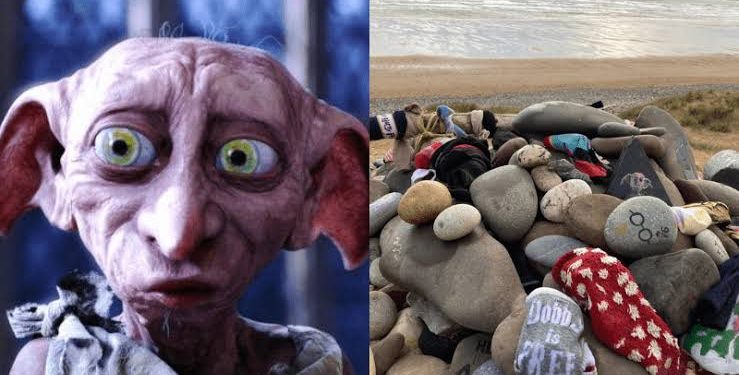 Her şey Dobby için: Harry Potter hayranları 580 milyon dolarlık projenin güzergahını değiştirdi