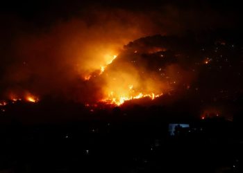 WWF: İtalya'da bu yaz çıkan orman yangınlarında 70 bin hektar alan kül oldu