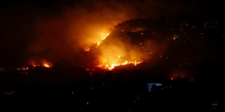 WWF: İtalya'da bu yaz çıkan orman yangınlarında 70 bin hektar alan kül oldu