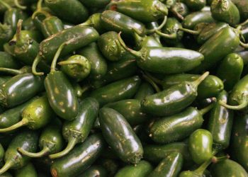 ABD'de jalapeno biberlerinden kaynaklandığı düşünülen salmonella salgını 27 eyalete yayıldı