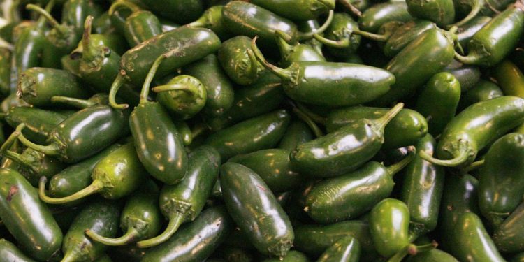 ABD'de jalapeno biberlerinden kaynaklandığı düşünülen salmonella salgını 27 eyalete yayıldı