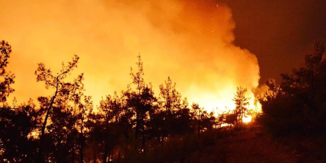 Avrupa'da bu yıl orman yangınları 600 bin hektardan fazla alanı etkiledi