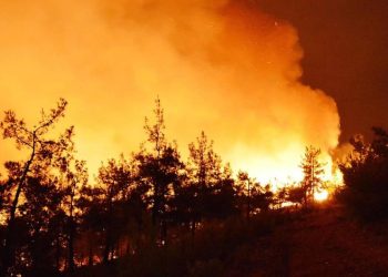 Avrupa'da bu yıl orman yangınları 600 bin hektardan fazla alanı etkiledi