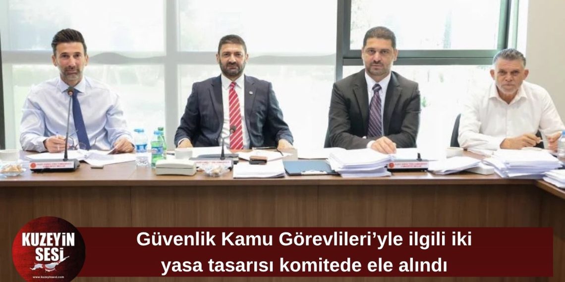 İdari, Kamu ve Sağlık İşleri Komitesi iki yasa tasarısını görüştü
