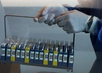 Belçika'da Batı Nil virüsü vakası 10'a yükseldi