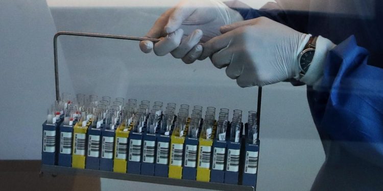 Belçika'da Batı Nil virüsü vakası 10'a yükseldi