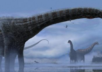 Afrika'da 210 milyon yıllık yeni bir dinozor türü keşfedildi
