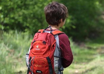 Avrupa'da eğitim krizi: PISA sonuçları tarihin en düşük seviyesinde