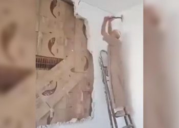 Esad rejiminden kaçan Suriyeli, duvar örerek sakladığı kütüphanesine yıllar sonra kavuştu
