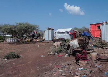 Yemen'de çatışmaların şiddetlenmesi nedeniyle 122 binden fazla kişi yerinden edildi