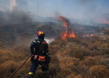 Yunanistan'da 8 bin dönüm alan yangında zarar gördü