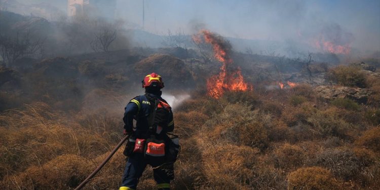 Yunanistan'da 8 bin dönüm alan yangında zarar gördü