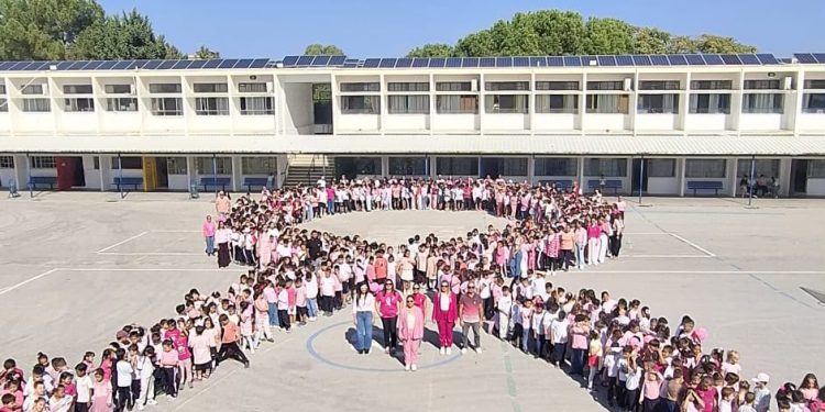 23 Nisan İlkokulu’ndan umuda bir pembe selam…