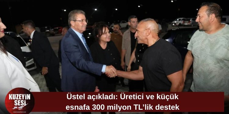 Üstel: Çiftçi, hayvancı ve küçük esnafa 300 milyon TL kaynak