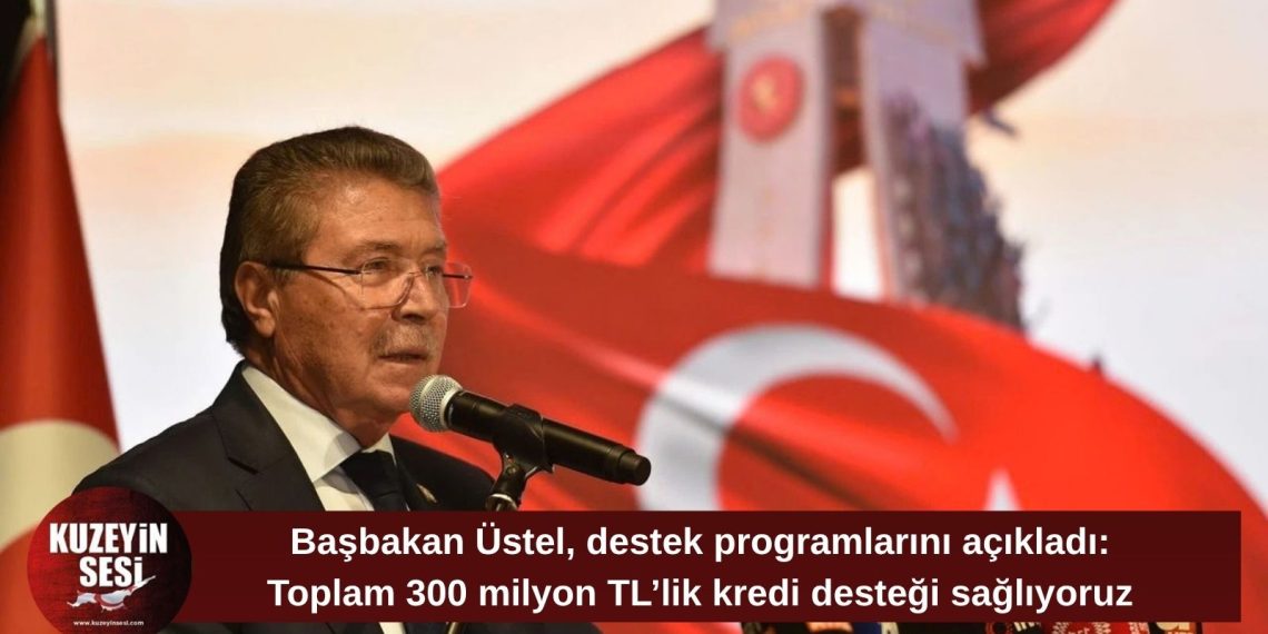 Üstel’den reel sektöre dev destek: 300 milyon TL kredi, 170 milyon TL hibe