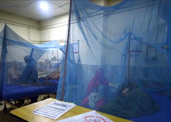 Bangladeş'te yıl başından bu yana dang humması nedeniyle ölenlerin sayısı 364'e çıktı