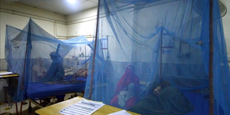 Bangladeş'te yıl başından bu yana dang humması nedeniyle ölenlerin sayısı 364'e çıktı