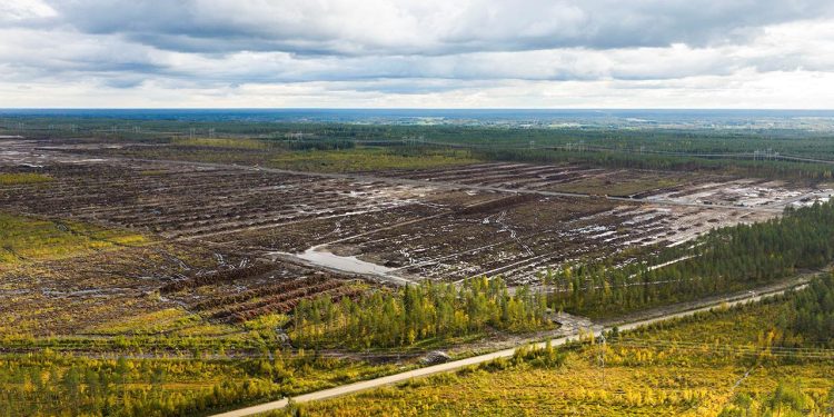 Finlandiya Google'ın veri merkezi alanı için orman temizlemesine cezai soruşturma başlattı