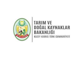 Anaç Küçükbaş 2026 Yılı 2. Taksit Destekleme Ödemeleri yapıldı